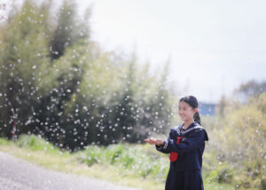 桜吹雪