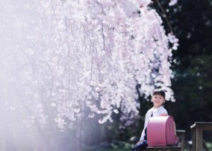 N様の入学写真 桜ロケ