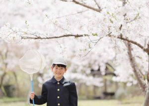 K様の入学写真 桜ロケ1